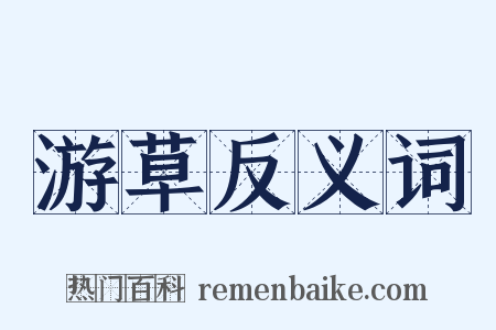 游草反义词是什么意思的图片